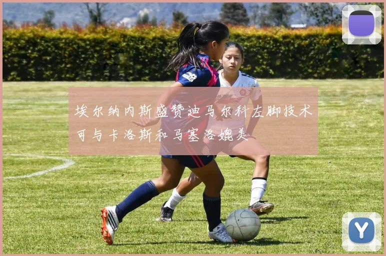 埃尔纳内斯盛赞迪马尔科左脚技术可与卡洛斯和马塞洛媲美